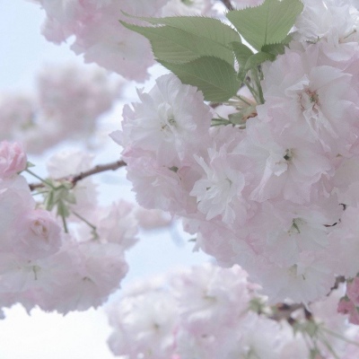 兽设毛发刻画细节兽圈群